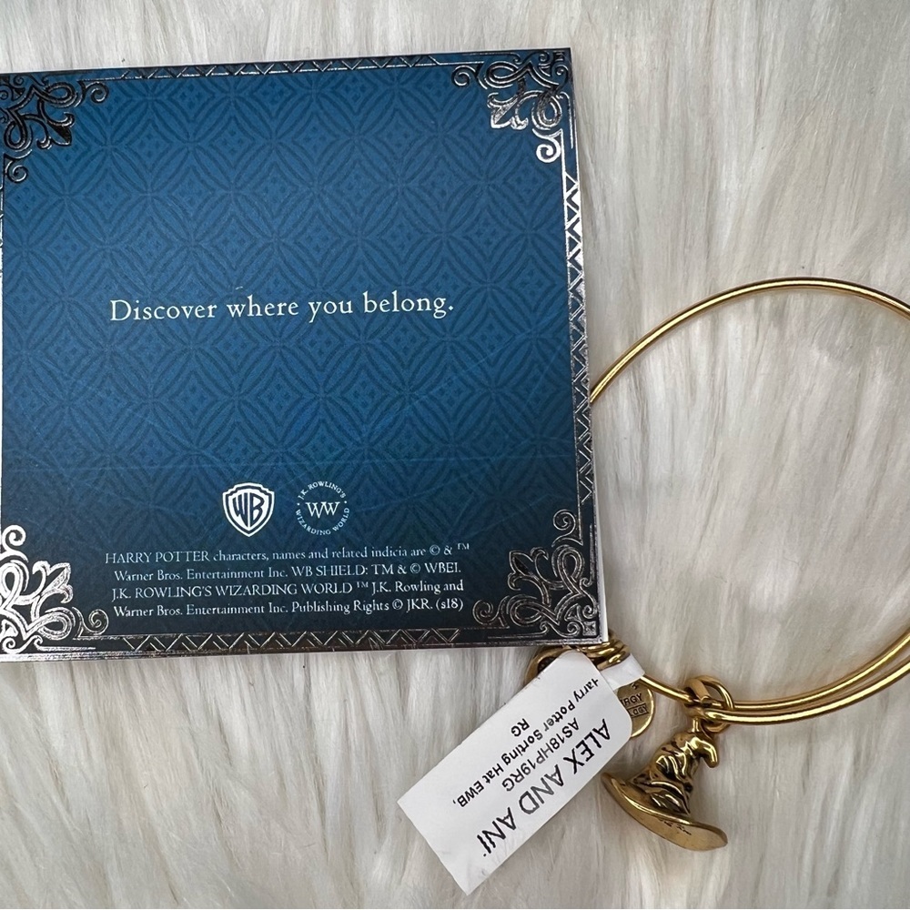Alex and Ani Harry Potter Sorting Hat Rafaelian Gold Charm Bangle Bracelet - Picture 2 of 2